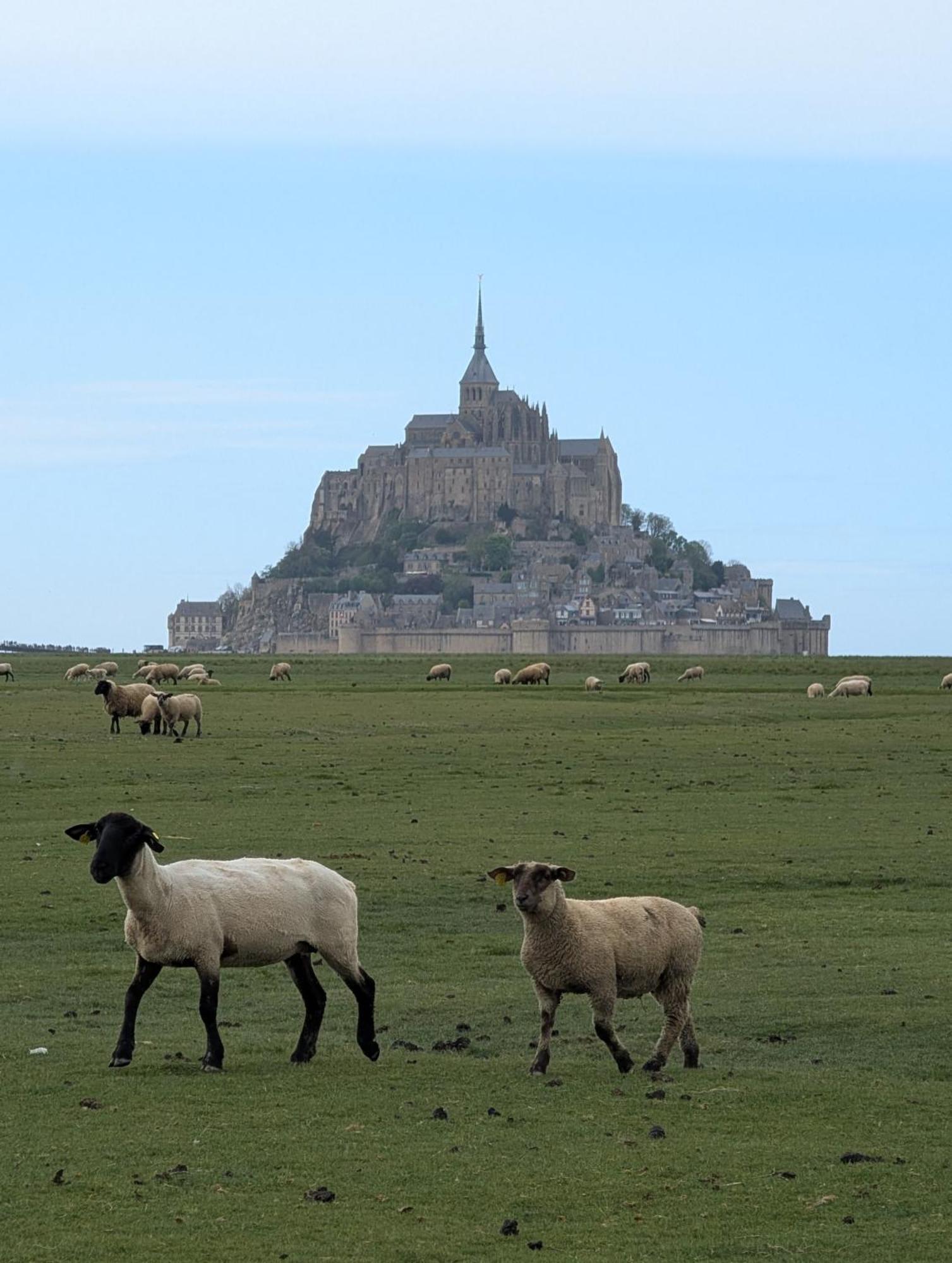 مبيت وإفطار Huisnes-sur-Mer A L Ombre Du Mont Saint Michel المظهر الخارجي الصورة